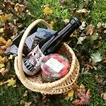 Chez Marie-angele Casa de Férias Treignes