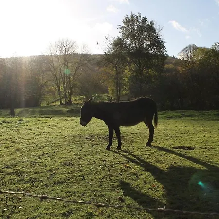 Chez Marie-angèle Hébergement de vacances